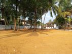 Welisara Mahabage ආයෝජනයට වටිනා ඉඩමක්