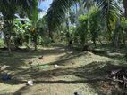 Weliweriya Town : 160 perches Land for Rent