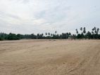 Well Developed 3.5 Acres Bare Land for Rent in Katunayake.