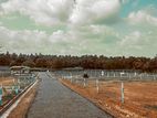 Well Developed Land for Sale in Kuliyapitiya - H05