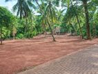 Well Developed Land for Sale in Nittambuwa Wathupitiwala S09