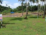 Well Developed Lands for Sale in Polgahawela S02