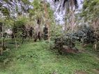 Well-Grown Cultivated Property for Sale in Udamapitigama, Dompe.