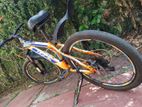 NGC Mountain Bicycle (24”, 21 Speed)