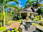 Well Nice Beautiful Garden 3 Bed Room House For Sale In Kandawala Katana