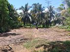 Wellampitiya : 46 Perches Land for Sale at Gothami mawatha