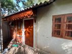 WELLAWATHTHA FURNISHED ANNEX FOR RENT GIRLS ONLY