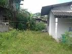 wellawatte near St. peters 14p land for sale 11m