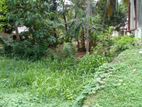 Wellawaya : 37 Perches Land for Sale in Heenapahuwa