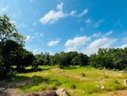WENNAPPUWA : 5 ACRES PRIME LAND FOR SALE