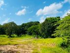 Wennappuwa - Land for sale
