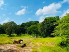 Wennappuwa River Facing 5 Acres Land For Sale
