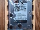 Western Digital 1TB Hard Disk