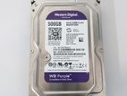 Western Digital 500GB Hard Disk