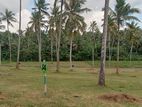 Weyangoda Land for Sale