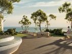Where Golden Sands Meet Modern Architecture