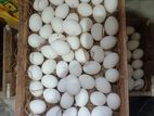 White Eggs