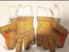 Wicket Keeping Gloves