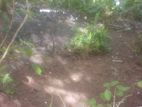House for Sale Walisara