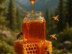 Wild Bee Honey
