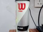 Wilson Cricket Balls