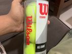 Wilson Cricket Balls