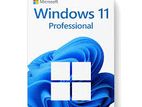 WINDOWS-SOFTWARES KEYS 10-11 MS OFFice 21-19 -ADoBE-CAD Instal VISIT