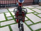 Winner E-Bike 2023
