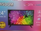 WISDOM 24" HD LED TV (AC & DC)