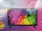 WISDOM 24 inch HD LED TV (AC & DC)