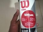 Wilson Cricket Tennis Ball