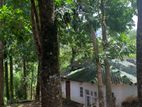 Land for Sale in Peradeniya