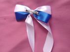 Woman's Hair clips