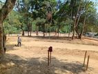 Wonderful Beach Front Land Plot Midigama