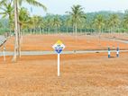 Wonderful Land Block for Sale in Galle