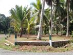 Wonderful Land for Sale in Horana