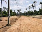 Wonderful land for Sale in Negombo 15p block