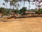 Wonderful Land Plot Hiriketiya Beach