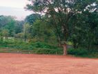 Wonderful Land Plot in Bandaragama