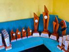 Wood Cricket Trophy