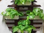 Wooden Wall Decorations