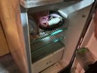 Whirlpool Fridge