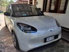 Wuling Binguo 2025