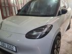 Wuling Binguo EV 2025