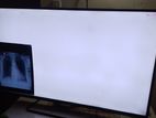 X-Ray Illuminator Viewer