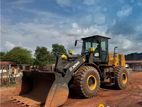 XCMG Wheel Loader