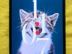 Xiaomi Poco F3 5G 256 GB (Used)