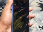 Xiaomi Redmi 15C (Used)