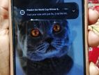 Xiaomi Redmi A1 (Used)