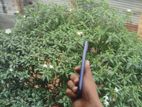 Xiaomi Redmi Note 10 6GB 128GB (Used)